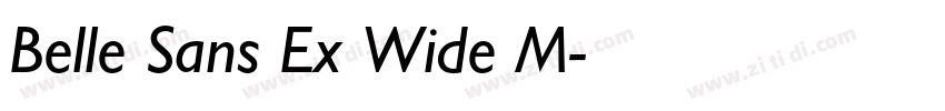 Belle Sans Ex Wide M字体转换